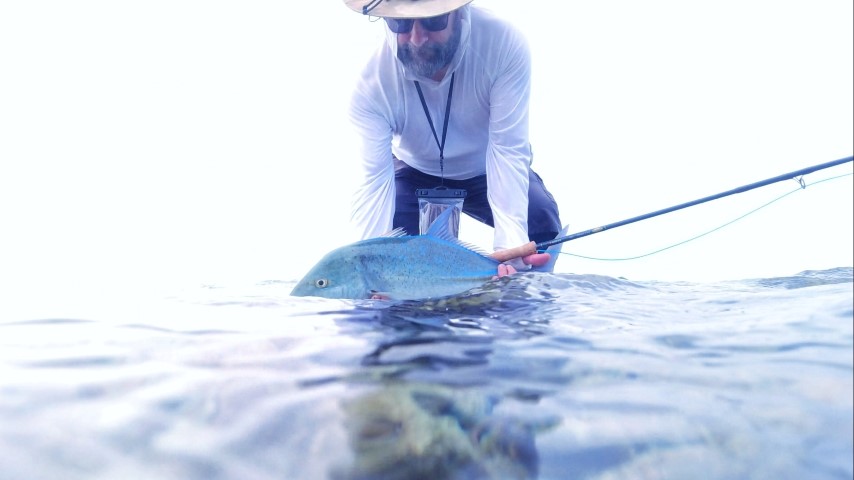 Bluefin Maldives morning.